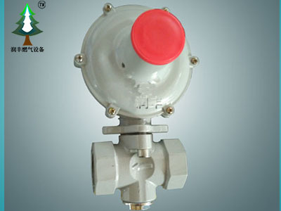 家用天然氣使用常識&燃氣安全須知